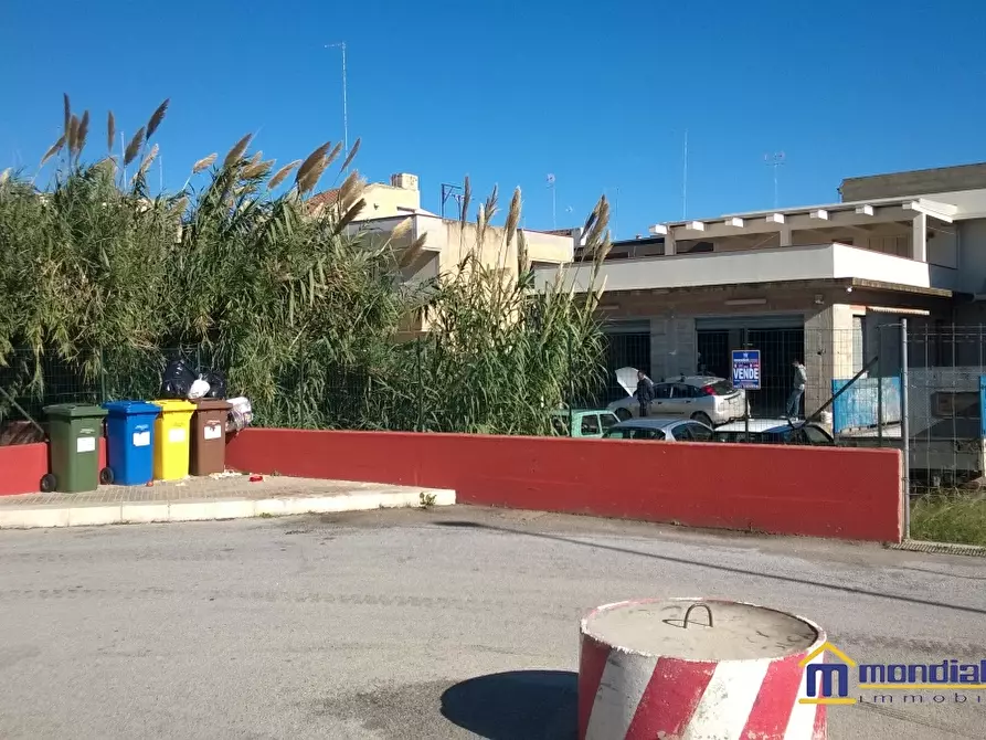 Immagine 4 di Terreno edificabile in vendita  a Pachino