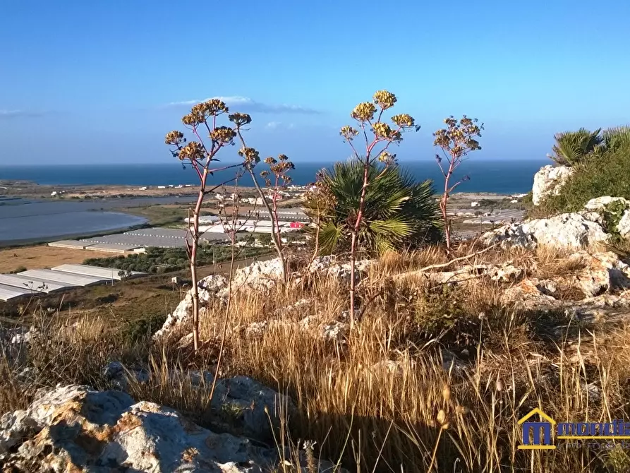 Immagine 5 di Terreno in vendita  a Pachino