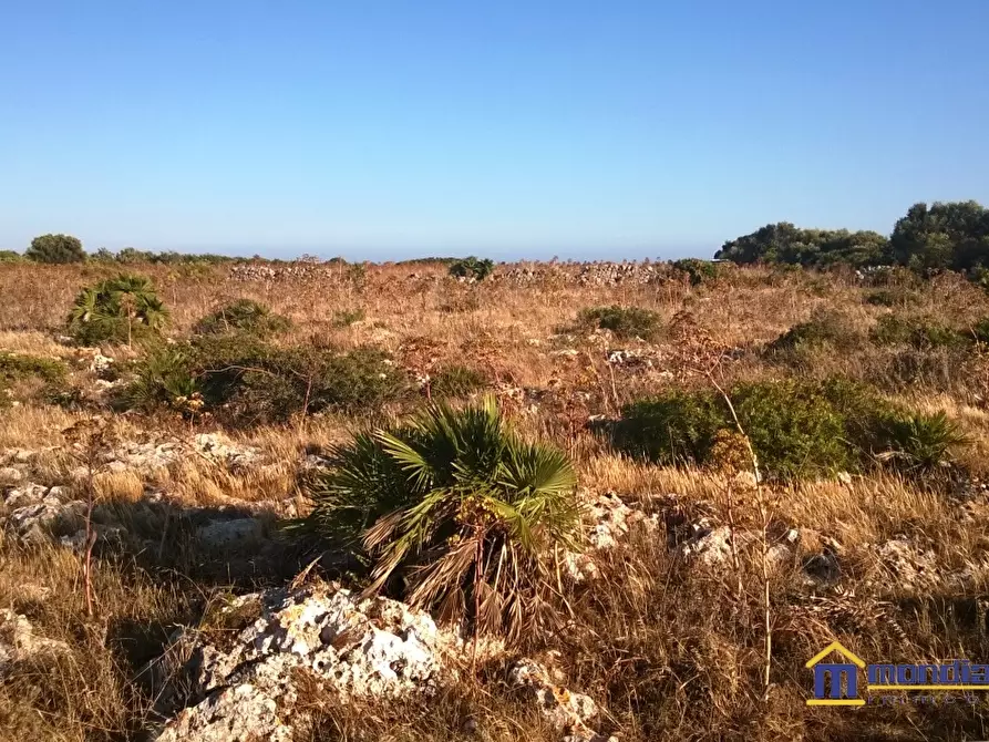 Immagine 7 di Terreno in vendita  a Pachino