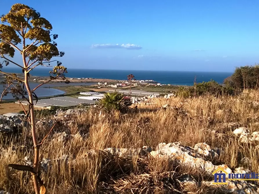 Immagine 4 di Terreno in vendita  a Pachino