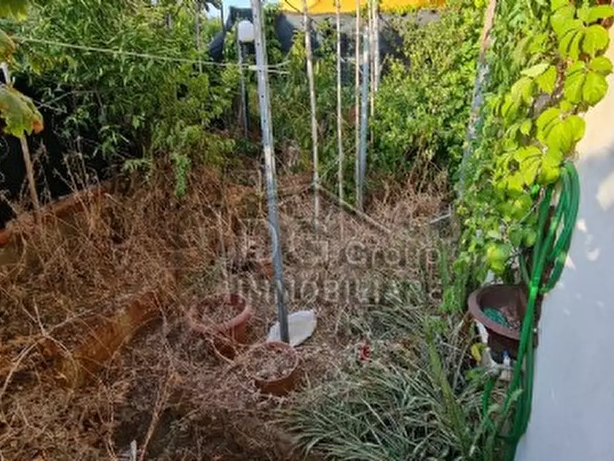 Immagine 5 di Casa indipendente in vendita  a Alcamo