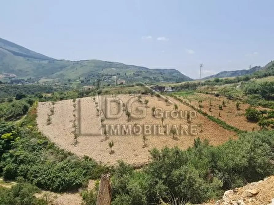 Immagine 4 di Villa in vendita  a Castellammare Del Golfo