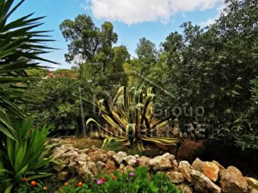 Immagine 10 di Villa in vendita  a Favignana