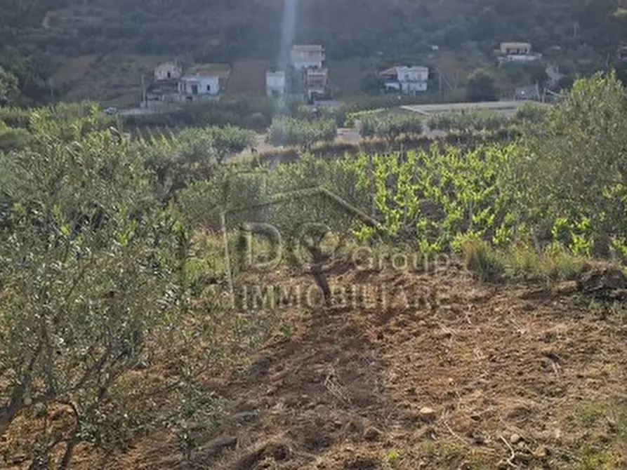 Immagine 10 di Rustico / casale in vendita  a Alcamo