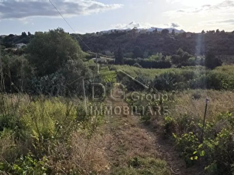 Immagine 9 di Rustico / casale in vendita  a Alcamo