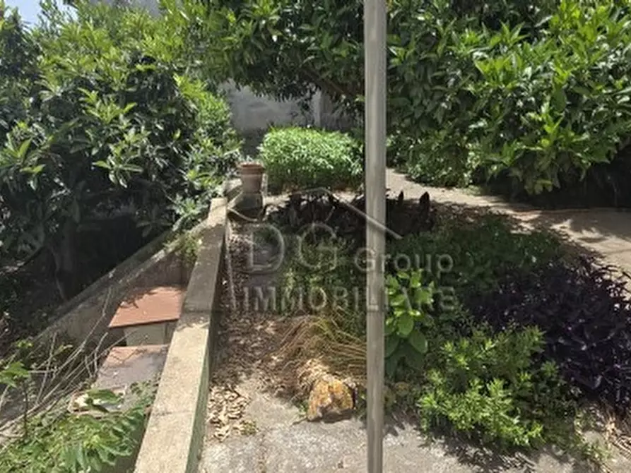 Immagine 2 di Appartamento in vendita  a Alcamo