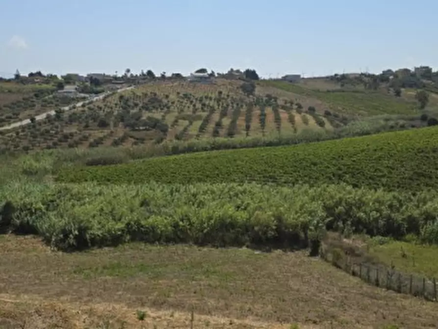 Immagine 7 di Appartamento in vendita  a Alcamo