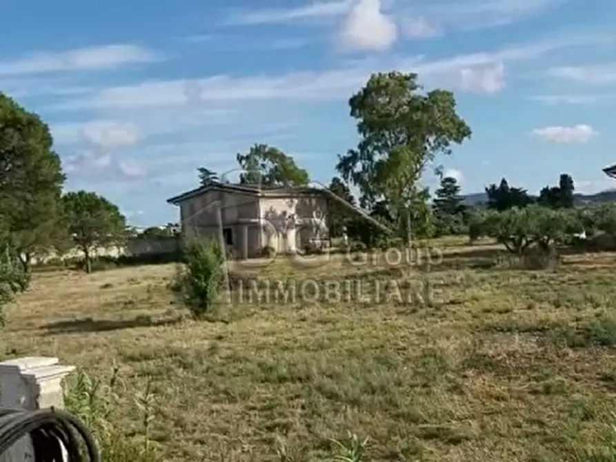 Immagine 2 di Appartamento in vendita  a Alcamo