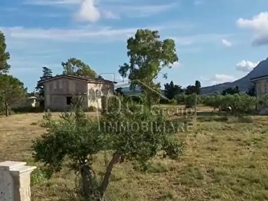 Immagine 3 di Appartamento in vendita  a Alcamo