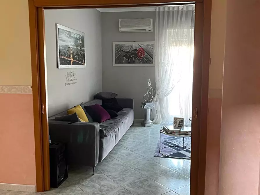 Immagine 6 di Appartamento in vendita  3 a Corato