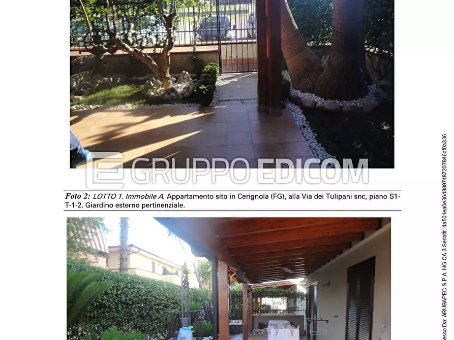 Immagine 3 di Appartamento in vendita  a Cerignola