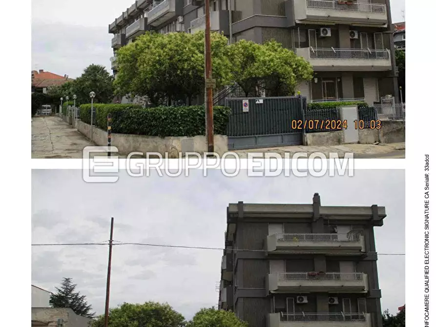 Immagine 3 di Appartamento in vendita  269 a San Severo