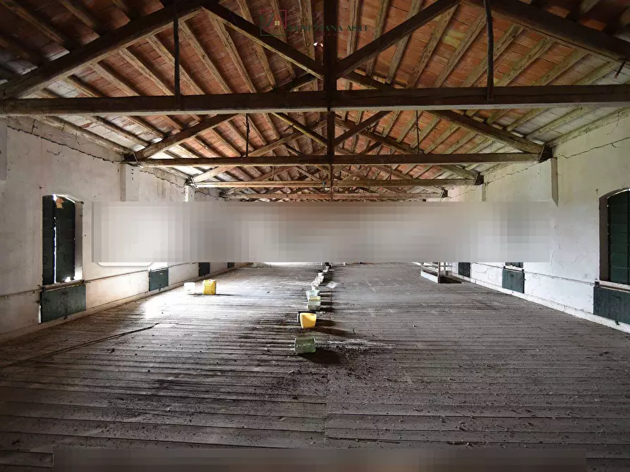 Immagine 8 di Rustico / casale in vendita  a Ceggia