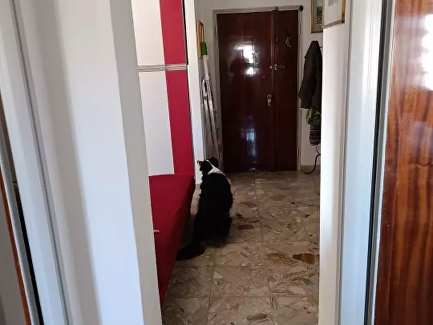 Immagine 3 di Appartamento in affitto  a Rosignano Marittimo