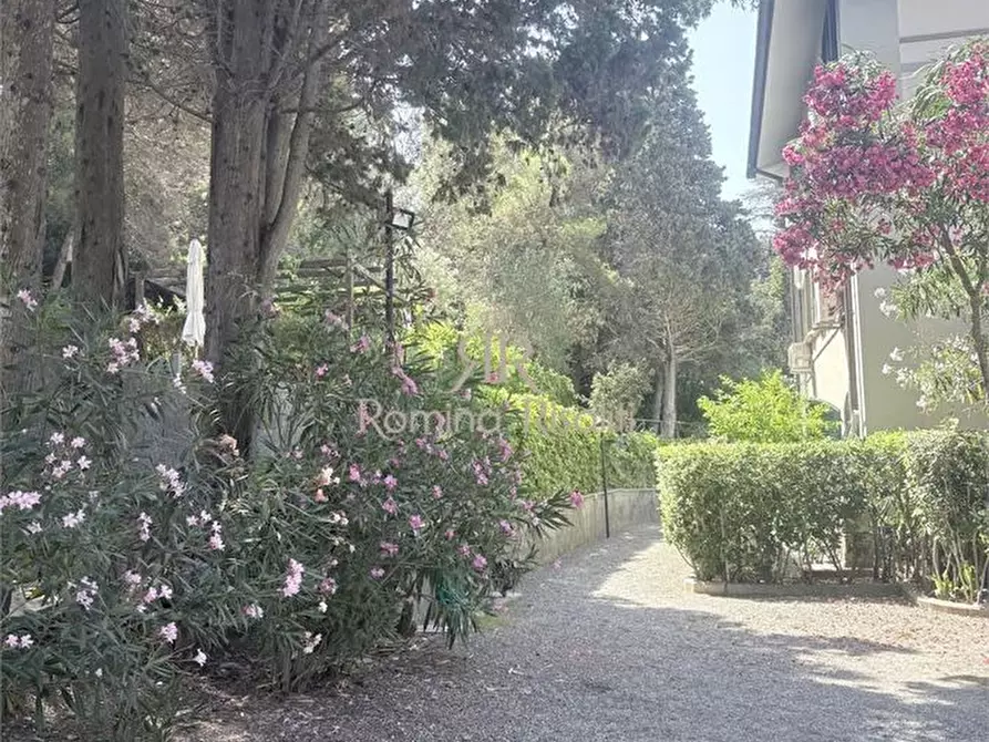 Immagine 3 di Appartamento in affitto  a Rosignano Marittimo