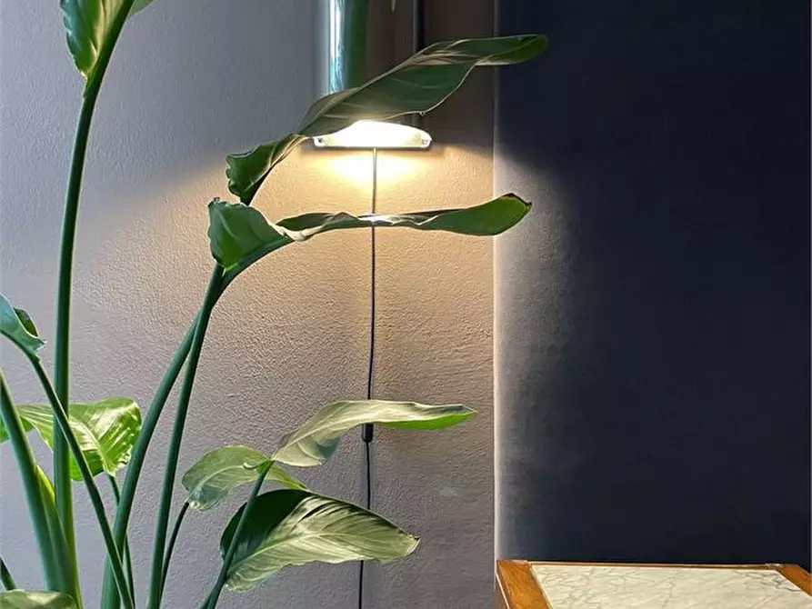 Immagine 10 di Appartamento in affitto  a Torino