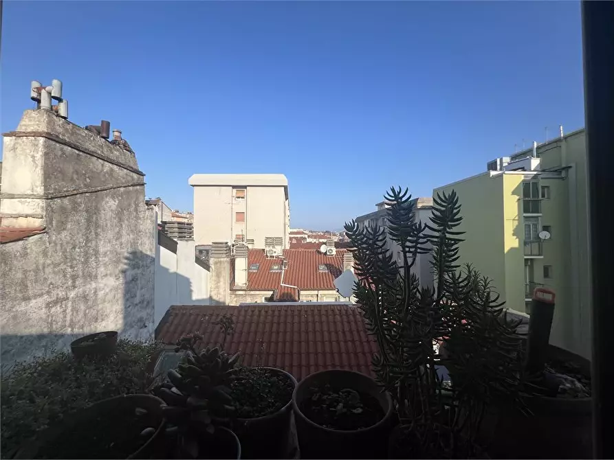 Immagine 9 di Appartamento in affitto  17 a Trieste