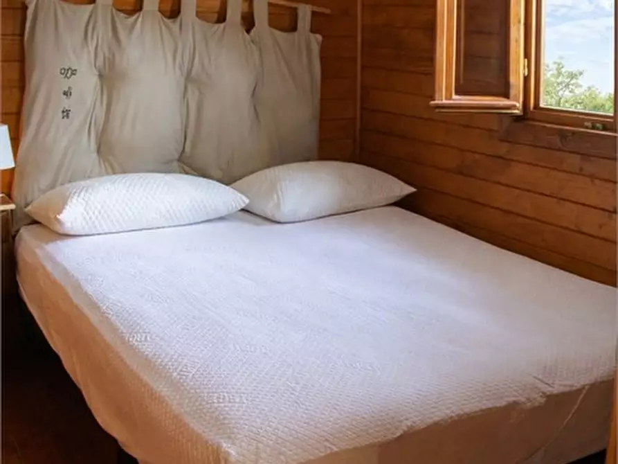 Immagine 8 di Appartamento in affitto  a Pollutri