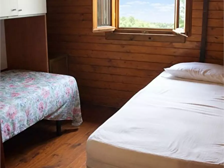 Immagine 9 di Appartamento in affitto  a Pollutri