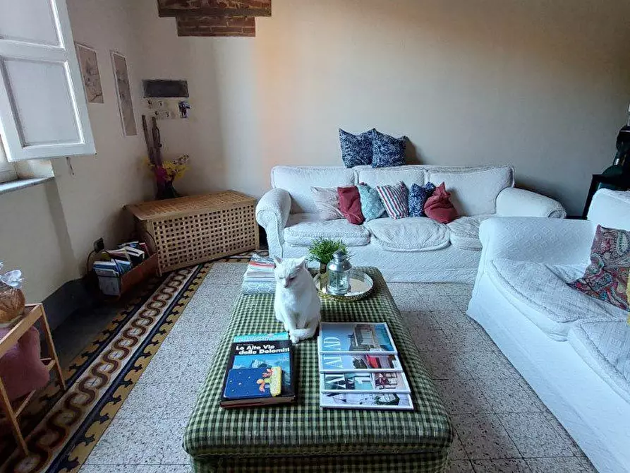 Immagine 6 di Appartamento in affitto  a Pisa