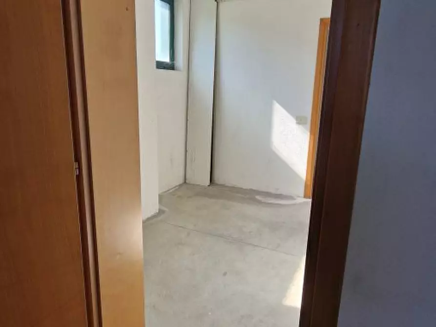 Immagine 9 di Capannone industriale in affitto  a Casale Di Scodosia