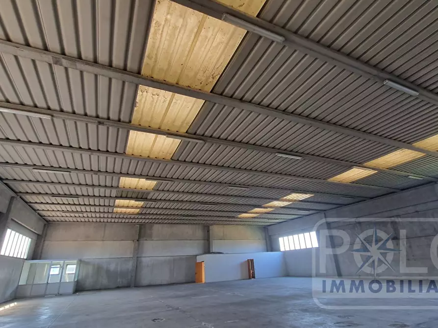 Immagine 3 di Capannone industriale in affitto  a Casale Di Scodosia