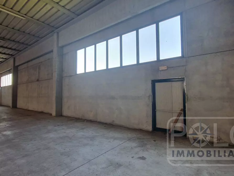 Immagine 4 di Capannone industriale in affitto  a Casale Di Scodosia