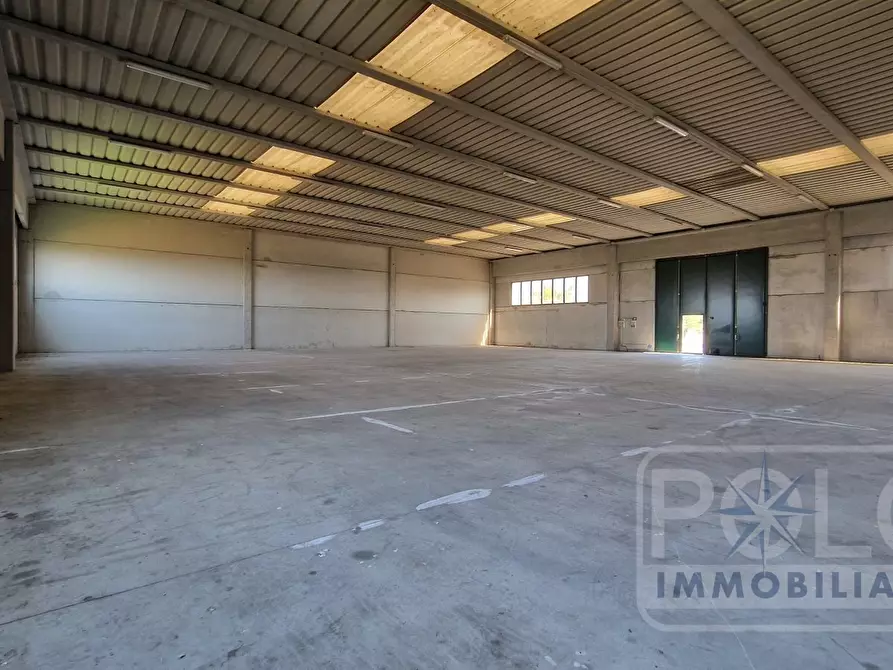 Immagine 8 di Capannone industriale in affitto  a Casale Di Scodosia