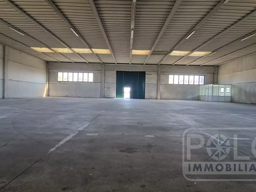 Immagine 6 di Capannone industriale in affitto  a Casale Di Scodosia