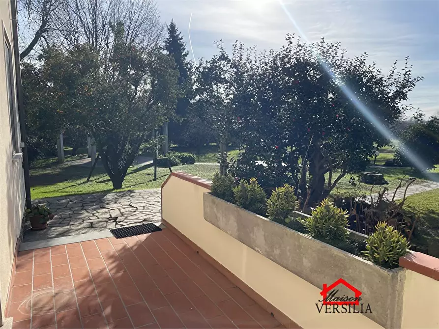 Immagine 2 di Villa in affitto  a Massa