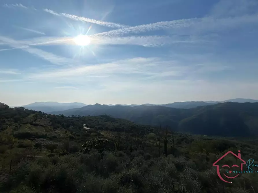 Immagine 3 di Casa semindipendente in affitto  40 a Onzo