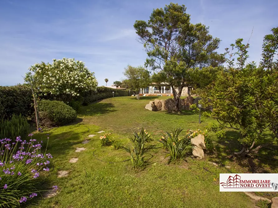 Immagine 4 di Villa in affitto  a San Teodoro