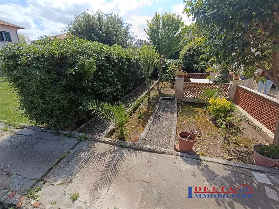 Immagine 9 di Casa semindipendente in affitto  a Rosignano Marittimo