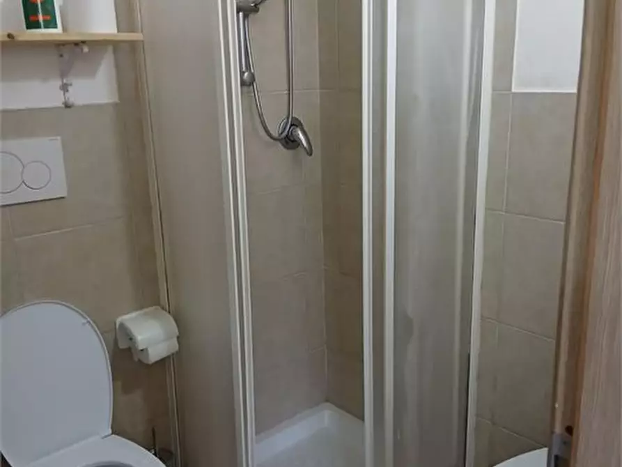 Immagine 7 di Loft/Open space in affitto  a Ortonovo