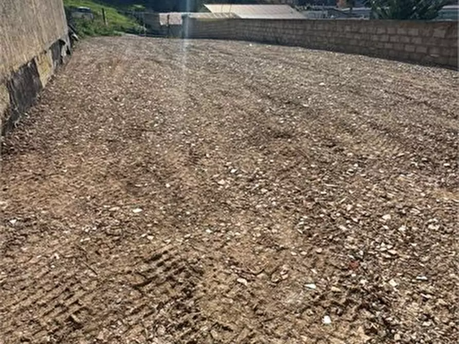 Immagine 1 di Magazzino in affitto  a Alcamo