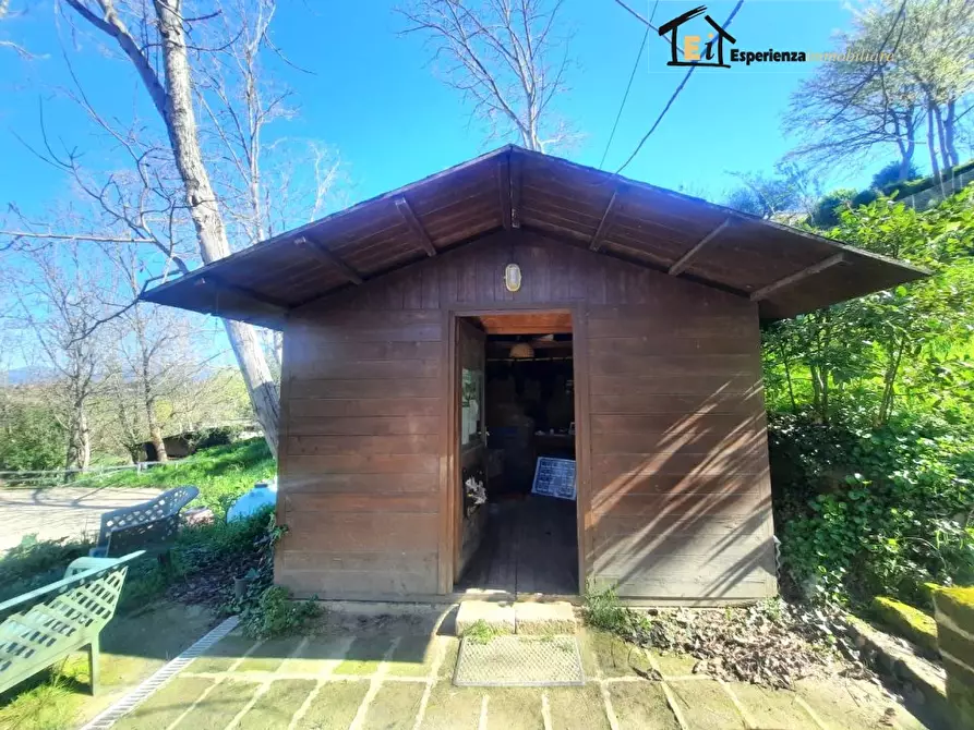 Immagine 7 di Terreno in affitto  snc a Cantalupo In Sabina