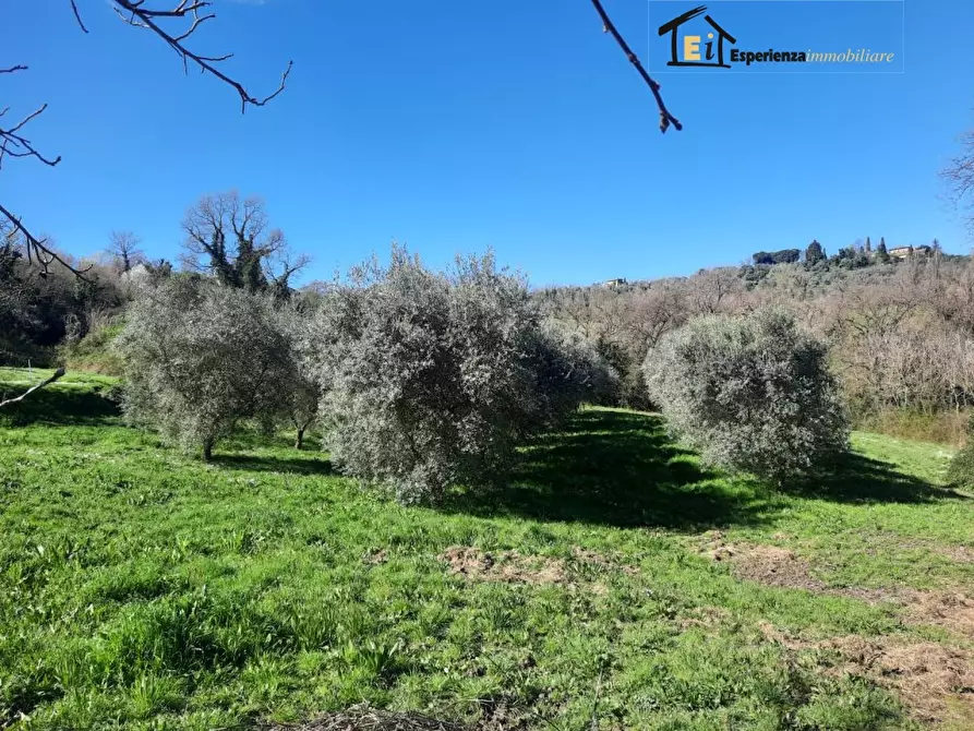 Immagine 8 di Terreno in affitto  snc a Cantalupo In Sabina