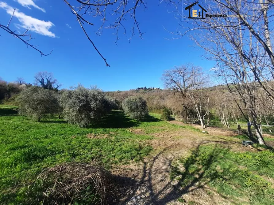 Immagine 6 di Terreno in affitto  snc a Cantalupo In Sabina