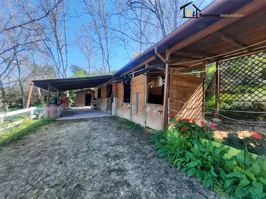 Immagine 2 di Terreno in affitto  snc a Cantalupo In Sabina