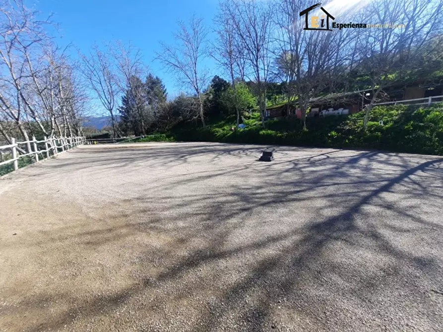 Immagine 3 di Terreno in affitto  snc a Cantalupo In Sabina