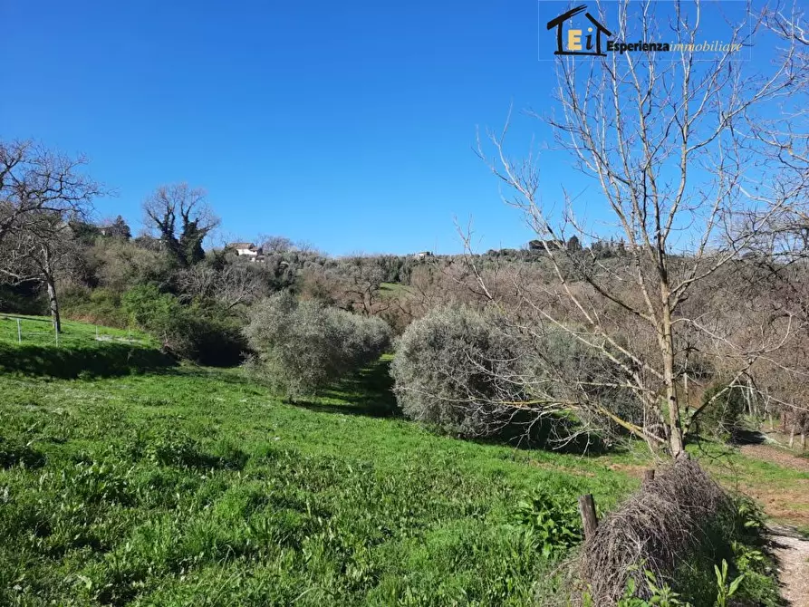 Immagine 9 di Terreno in affitto  snc a Cantalupo In Sabina