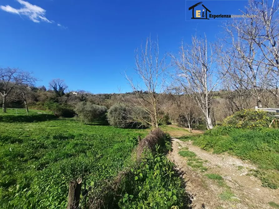 Immagine 10 di Terreno in affitto  snc a Cantalupo In Sabina