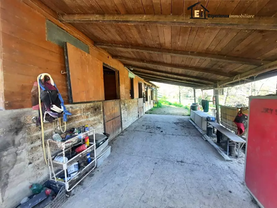 Immagine 5 di Terreno in affitto  snc a Cantalupo In Sabina