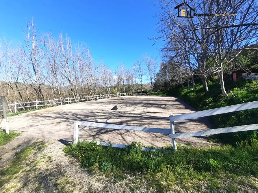 Immagine 1 di Terreno in affitto  snc a Cantalupo In Sabina