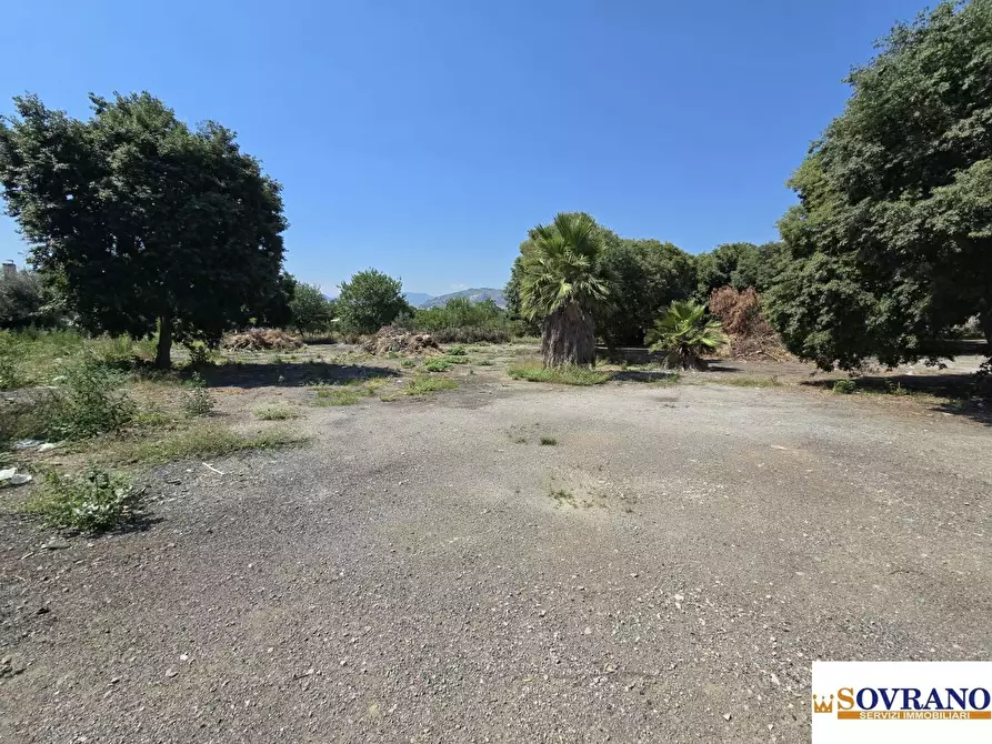 Immagine 5 di Terreno in affitto  a Palermo