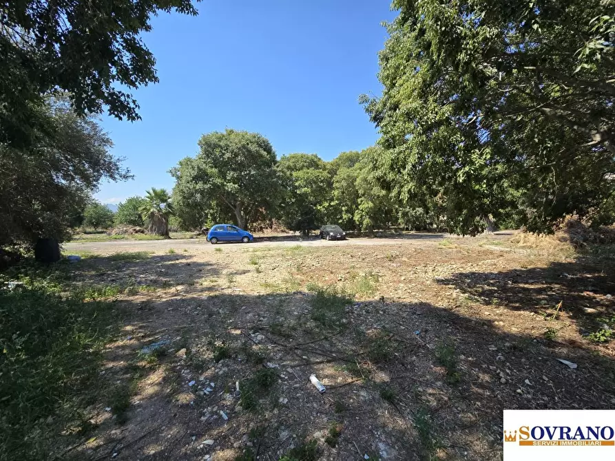 Immagine 9 di Terreno in affitto  a Palermo