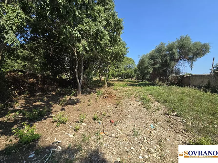 Immagine 10 di Terreno in affitto  a Palermo
