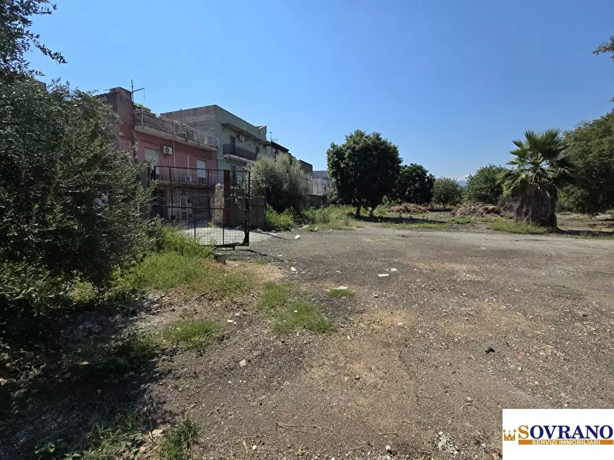 Immagine 8 di Terreno in affitto  a Palermo