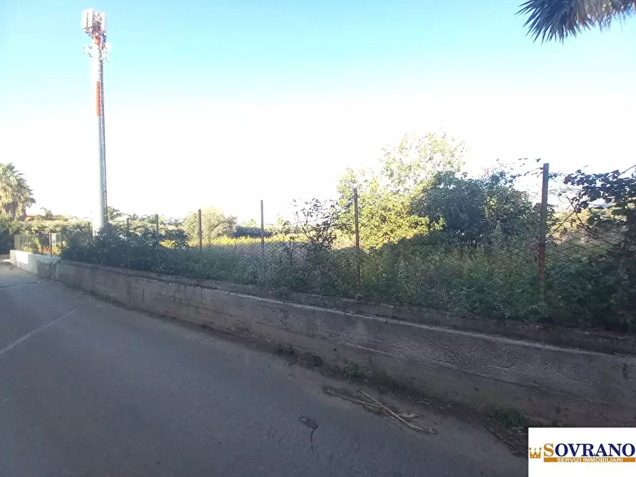 Immagine 7 di Terreno in affitto  408 a Carini