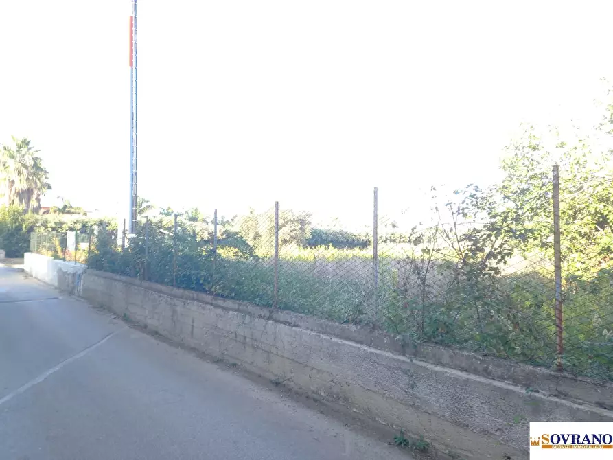 Immagine 8 di Terreno in affitto  408 a Carini